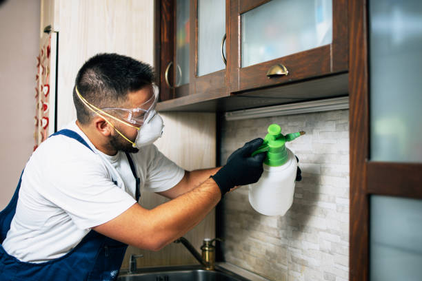 Best Bed Bug Extermination  in Manchaca, TX