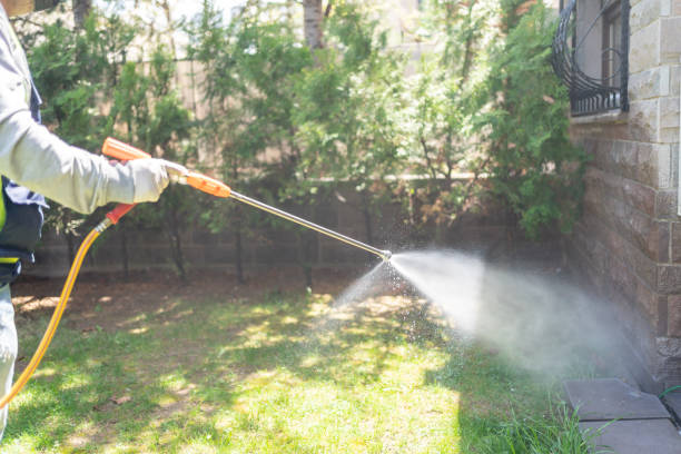 Best Wasp Removal Services  in Manchaca, TX