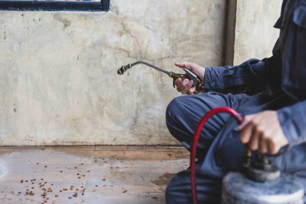 Best Termite Control Services  in Manchaca, TX